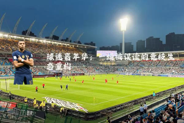 球迷嘉年华：一场被误读的竞技生态重构